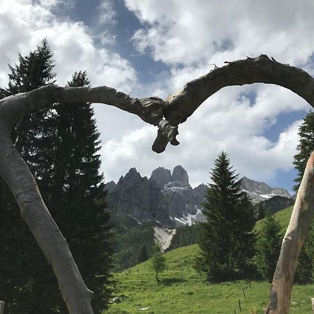 Chalet Kleinbergsonne 费尔兹姆斯 外观 照片