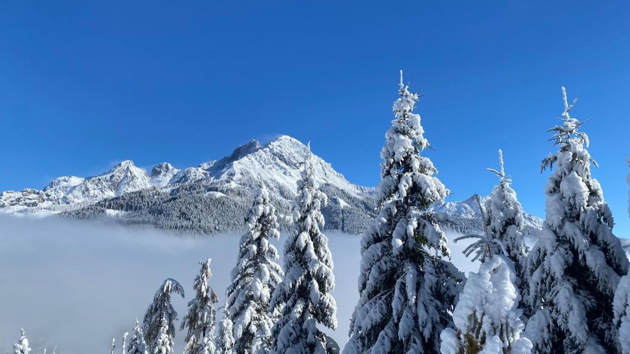Chalet Kleinbergsonne 费尔兹姆斯 外观 照片