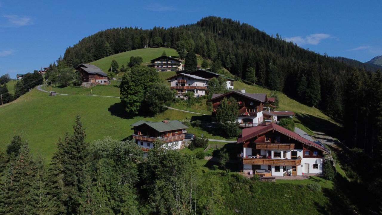 Chalet Kleinbergsonne 费尔兹姆斯 外观 照片