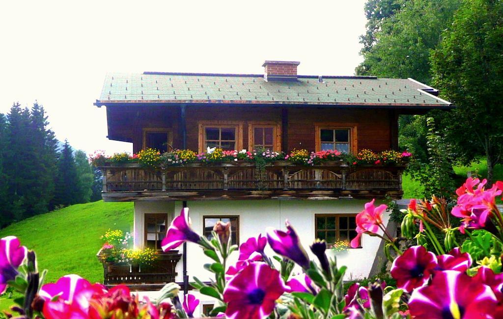 Chalet Kleinbergsonne 费尔兹姆斯 外观 照片