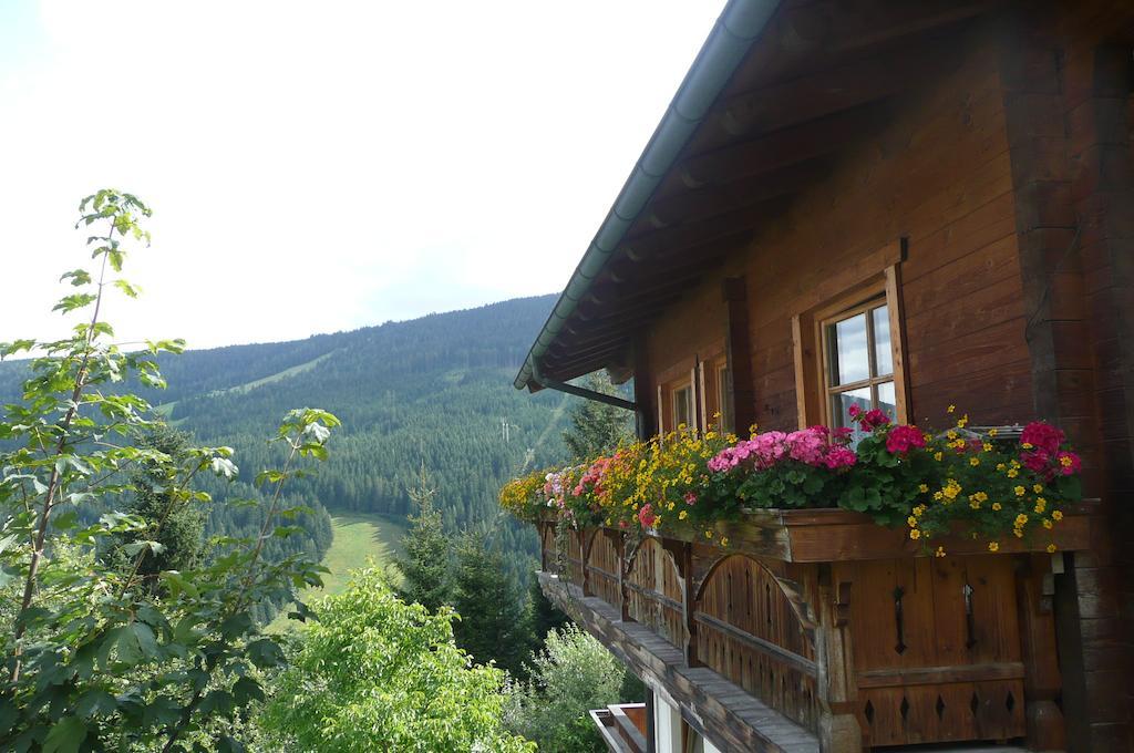 Chalet Kleinbergsonne 费尔兹姆斯 外观 照片